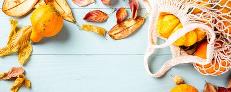 Autumn pumpkin thanksgiving backgroundの写真素材