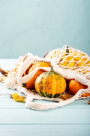 Autumn pumpkin thanksgiving backgroundの写真素材