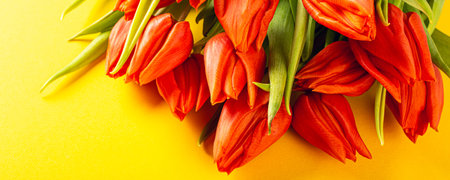 Orange tulips over yellow background. Birthday, mother day greeting card concept with copy space....