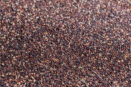 Red raw quinoaの写真素材