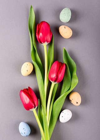 Pink tulips over gray backgroundの写真素材