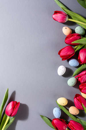 Pink tulips over gray backgroundの写真素材