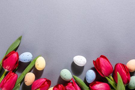 Pink tulips over gray background