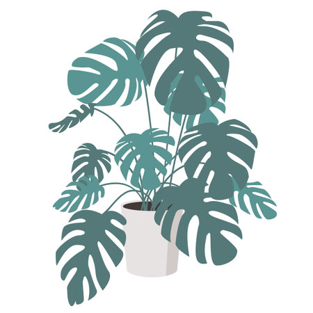 Monstera plant in flower pot isolated.のイラスト素材