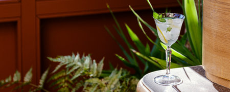 Banner with summer healthy lemonade, cocktail or citrus infused water or mojitos, with lime lemon, ice and mint, diet detox beverage in glass with house plants on backgroundの写真素材