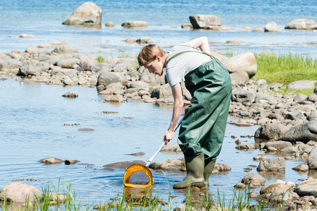 Kalmar, Sweden - May 26, 2014: Male in water with ring net finding animals.のeditorial素材