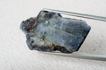 Blue sapphire held by tweezers over grey mat. Raw, unccut and rough.の写真素材
