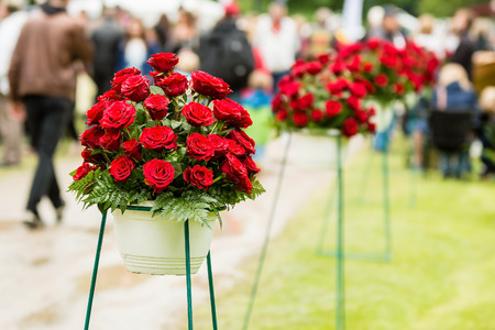 Red roses on display at local festival, People out of focus in background.の写真素材