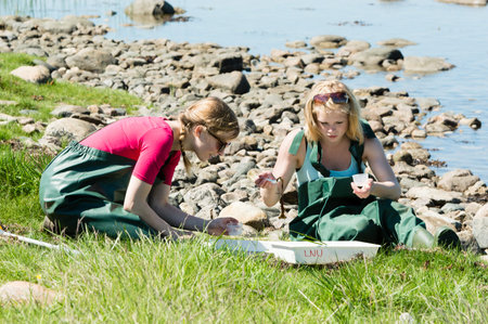 KALMAR, SWEDEN - MAY 26: Female students on ecology, biology field trip to study marine life.