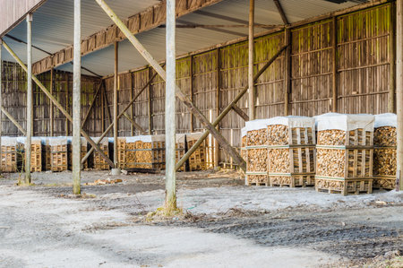 Fire wood made of birch in outdoor storage under roof. Woden pillars support the roof.