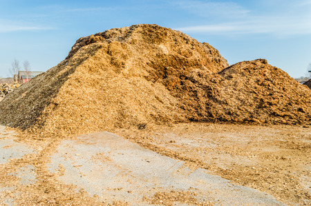 Pile of wood chips used for biofuel manufactoring. Wood chips is a renewable and sustainable energy source for heating. Blue sky above.の写真素材
