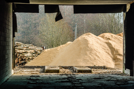 A pile of saw dust and some logs outside an abandoned building that frames the view as seen from the inside out. Rubber seal hangs down from ceiling.の写真素材