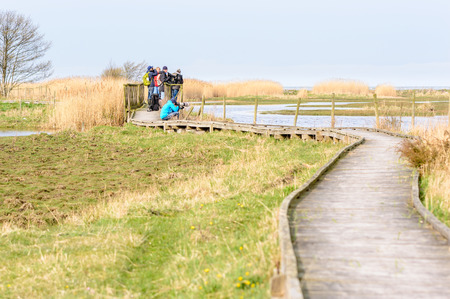 Bejershamn, Sweden - April 25, 2015: Photographer and ornithologists on wooden bridge looking on migratory birds in wetland as they arrive in early spring. Bejershamn is a protected wildlife reserve known for its birdlife.のeditorial素材