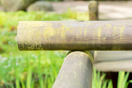 Round wooden end parts of railings in the corner. Green moss is starting to grow as the wood ages.の写真素材