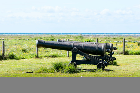 Two big cast iron cannons from the year 1766 pointed out to sea. Cannons stand on green grass with ocean in background.のeditorial素材