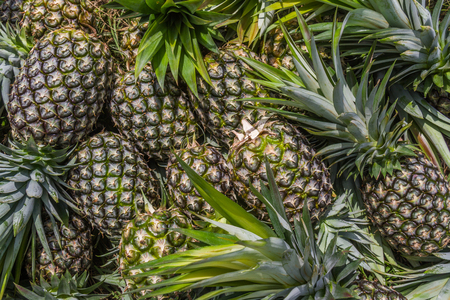 Sweet Pineapples Stackの写真素材