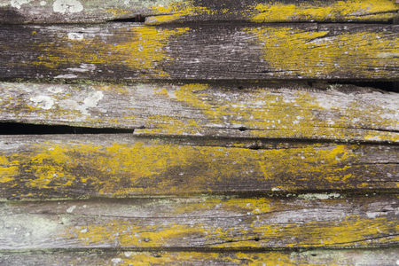 Wall made of wooden brown on plank texture backgroundの写真素材