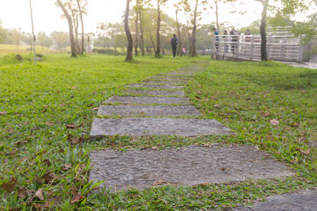 Curved sidewalk, path, trail at the empty street in the parkの写真素材