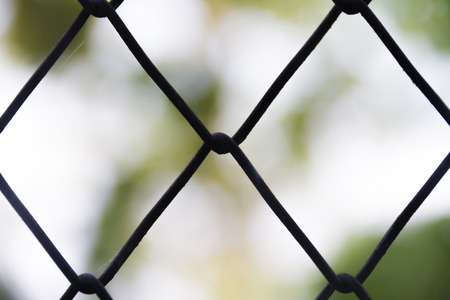Steel wire mesh fence close-up on a blurred backgroundの写真素材