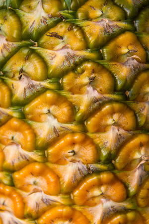 Sweet pineapple planted in the garden, Tropical fruitの写真素材