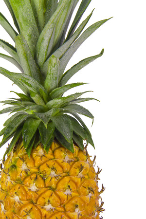 Ripe Pineapple isolated on white background, Cutting pathの写真素材