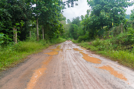 Rural Road in the Rainy Seasonの写真素材