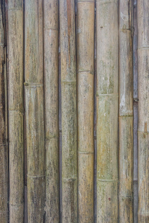 Wall made of wooden brown on plank texture backgroundの写真素材