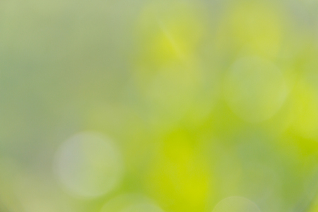 Abstract blur sunny light with bright green nature and bokeh texture background, selective focusの写真素材