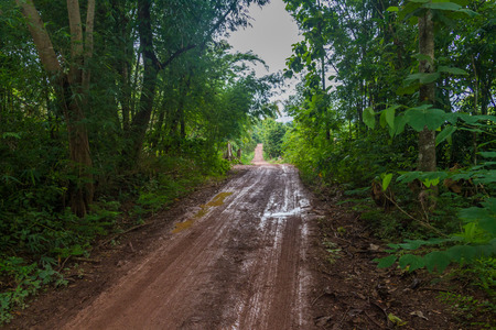 Rural Road in the Rainy Seasonの写真素材