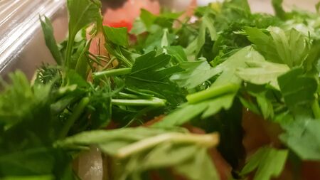 Salad is prepared on parsley and cress, tomato and onionの写真素材