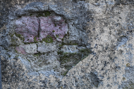 stone wall with ivy and musk textureの写真素材