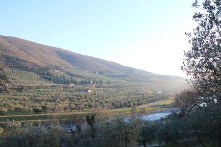 bisenzio river view with olive trees and hills on backgroundの写真素材