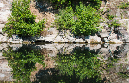 rocks and plants that are reflected in the water of the river Bisenzioの写真素材