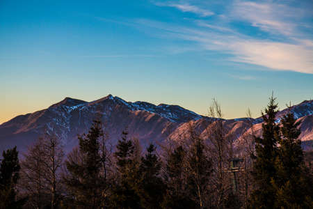 snowy mountain range seen through the treetops of a forestの写真素材