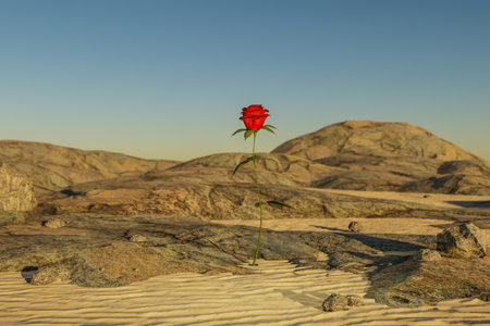 rose growing in desert environment; arid dry concept; 3D Illustrationの写真素材