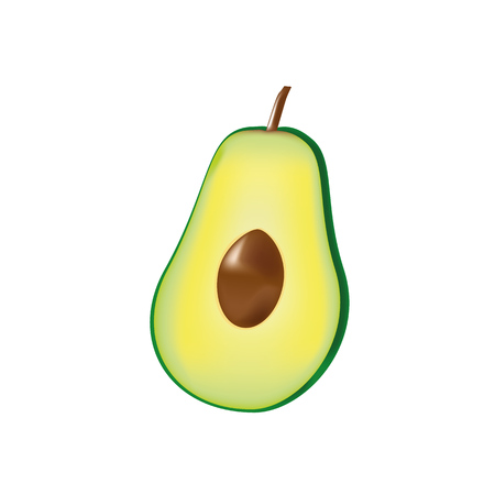 Avocado clip artの写真素材