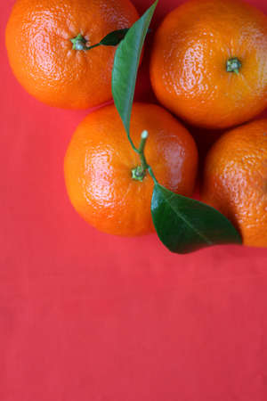 Flay lay view of fresh ripe mandarin oranges in close up, against a bright orange red background with copyspace. Citrus reticulataの写真素材