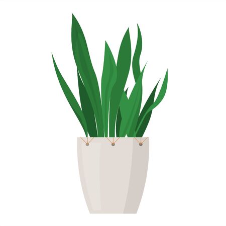 Green plant in the pot vector isolated. Gardening hobby, beautiful flowerpot. Indoor plant.のイラスト素材