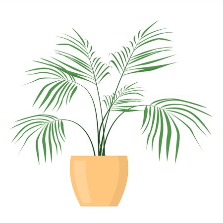 Green plant in the pot vector isolated. Gardening hobby, beautiful flowerpot. Indoor plant.のイラスト素材