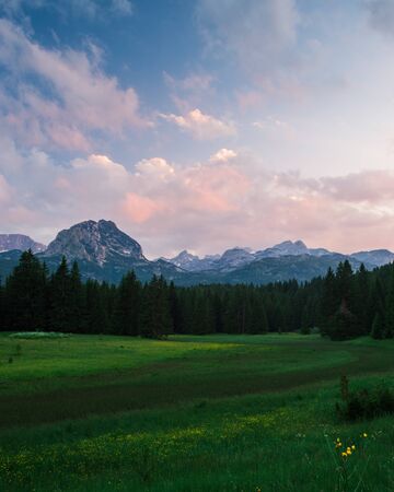 Green summer meadow and mountain on the background. Nature of Montenegro in sunset light. Peak of the high mountain and forest panorama.の写真素材