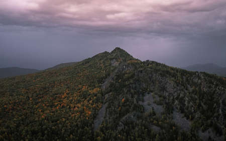 Photography of the mountain peak. Beautiful violet sky in the background. Outdoor view, green forest on top of the mountain. Summer landscape.の写真素材