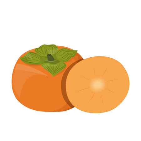 Fuyu persimmon fruit vector isolated. Fresh juicy product, tropical food. Exotic fruit, slice of a persimmon.のイラスト素材