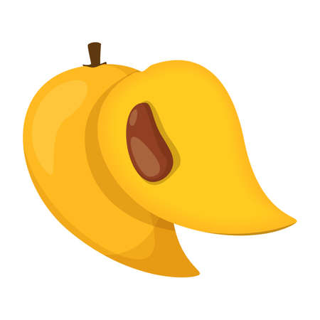 Canistel fruit vector isolated. Tropical sweet dessert, exotic plant. Raw vegetarian meal. Delicious fruit, slice of a canistel with seed inside.のイラスト素材