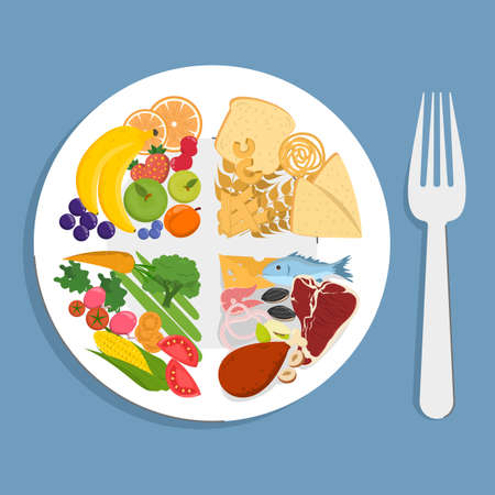 Healthy plate vector isolated. Inforgaphic of a proper diet, healthy nutrition. Balanced, full of protein, fruits and vegetables diet. educational informationのイラスト素材