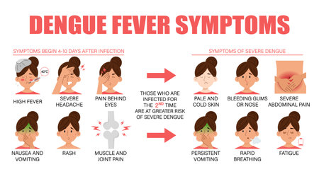 Symptoms of dengue fever vector isolated. Tropical infectious disease from mosquito insect bite. Skin rash, sickness, nausea and headache.のイラスト素材