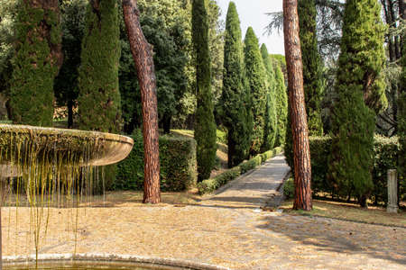 Rome 8 March 2020. The Vatican gardens of the papal residence, well-kept fountains and trees.のeditorial素材