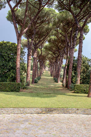 Rome 8 March 2020. The Vatican gardens of the papal residence, well-kept fountains and trees.のeditorial素材