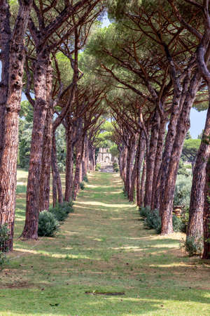 Rome 8 March 2020. The Vatican gardens of the papal residence, well-kept fountains and trees.のeditorial素材
