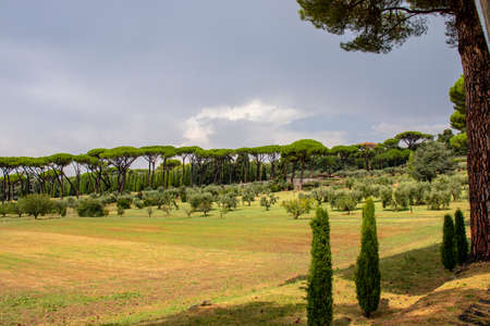 Rome 8 March 2020. The Vatican gardens of the papal residence, well-kept fountains and trees.のeditorial素材
