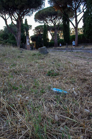 A surgical mask thrown in the grass: the new problem of the uncivilized.の写真素材